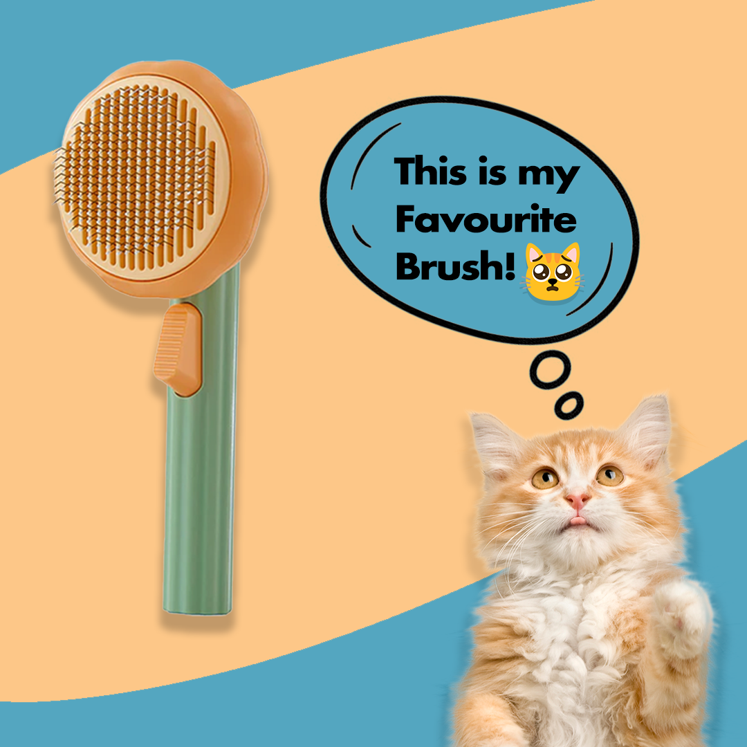 Pet Brush
